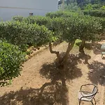 Gariful Διαμέρισμα
