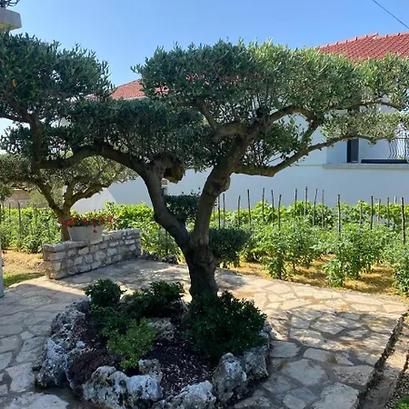 Daire Gariful Drniš