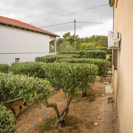 Gariful Apartamento *