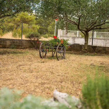 Gariful Apartamento *