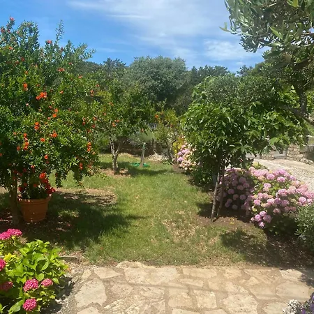 Appartement Gariful Drniš