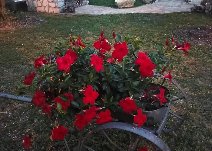 Appartement Gariful *